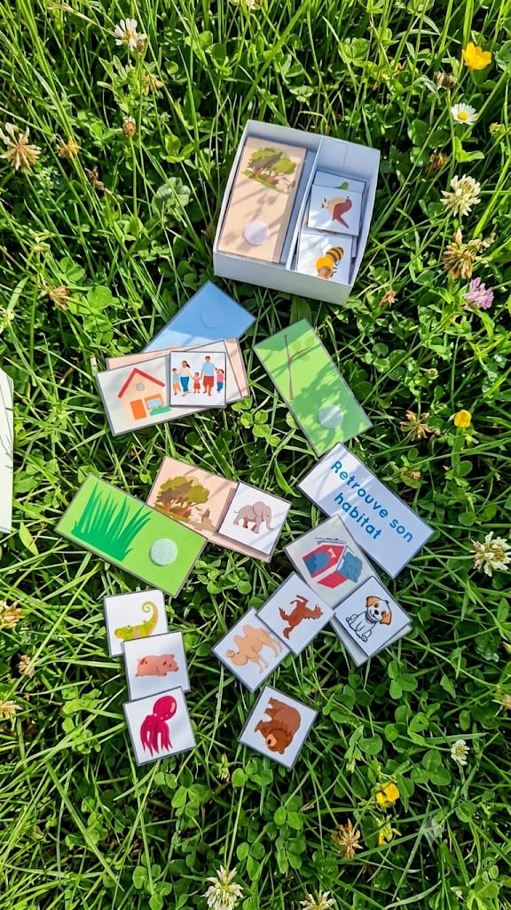 Cartes de jeu illustrant différents habitats avec animaux à scratcher